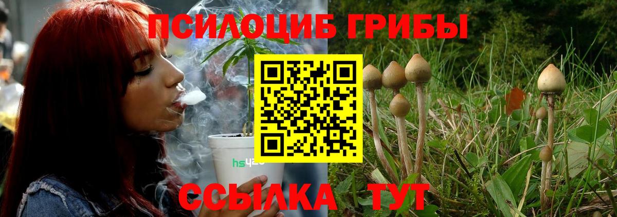 Псилоцибиновые грибы Cubensis Уссурийск