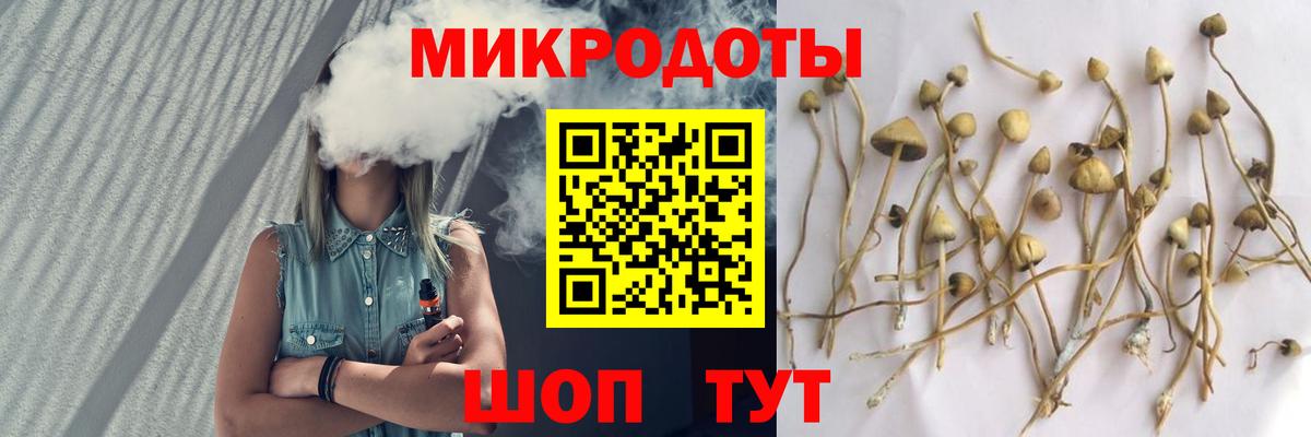 Уссурийск  Галлюциногенные грибы GOLDEN TEACHER  Вход с VPN 